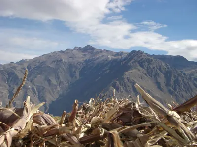 Colca Canyon — 11 July 2007