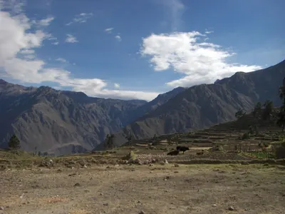 Colca Canyon — 11 July 2007