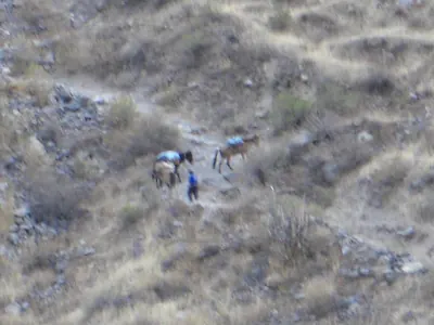 Colca Canyon — 11 July 2007