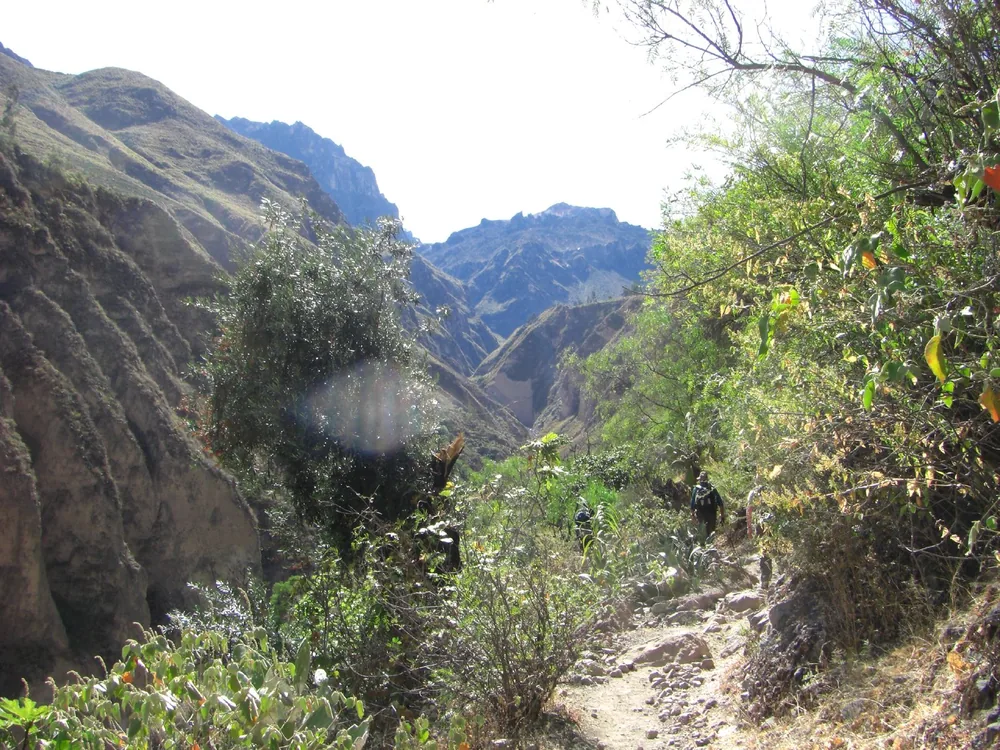 Colca Canyon — 12 July 2007