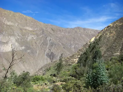 Colca Canyon — 12 July 2007