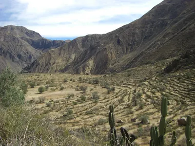 Colca Canyon — 12 July 2007