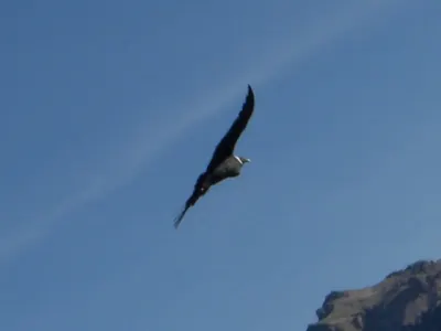 Colca Canyon — 13 July 2007