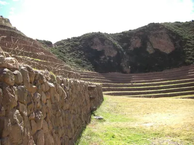 Moray and Maras — 3 June 2007