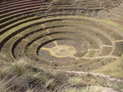 Moray and Maras — 3 June 2007