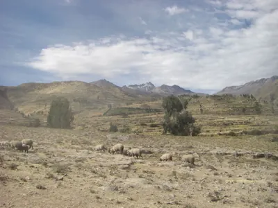 Colca Canyon — 11 July 2007