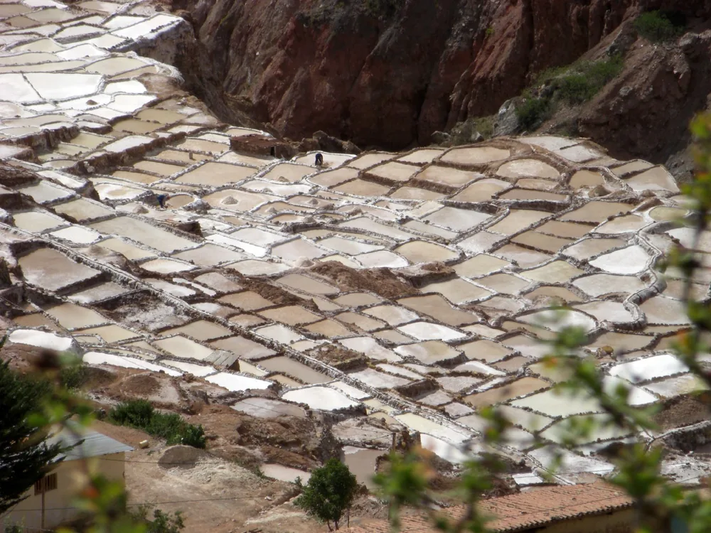 Moray and Maras — 3 June 2007
