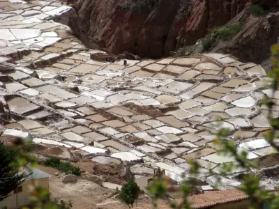 Moray and Maras — 3 June 2007