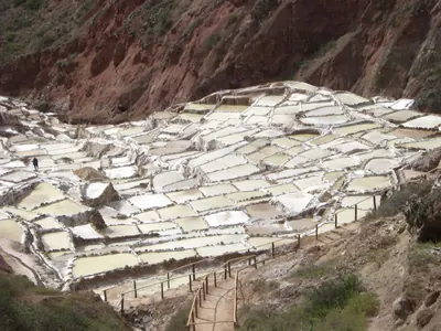 Moray and Maras — 3 June 2007