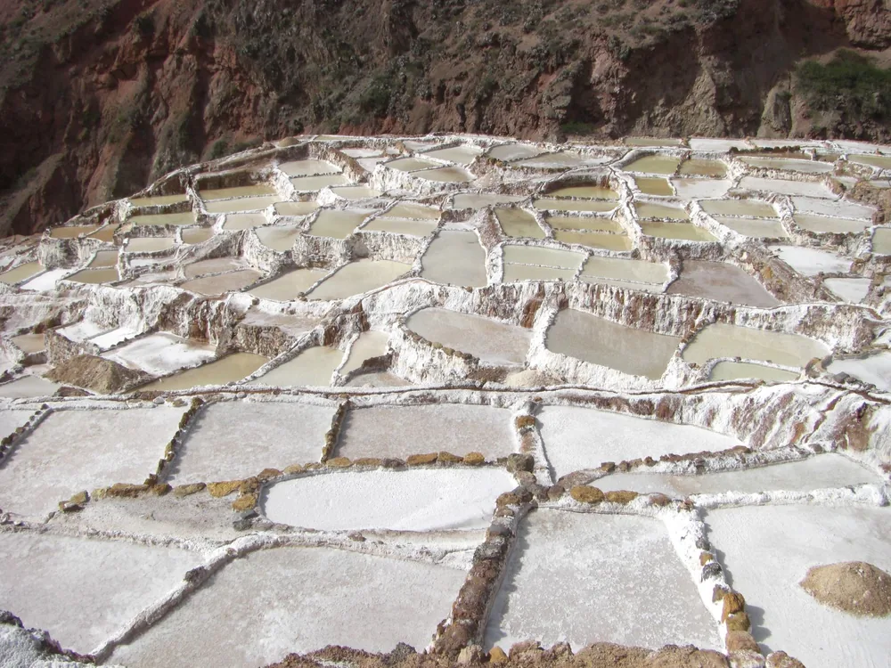 Moray and Maras — 3 June 2007