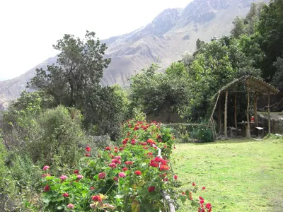 Colca Canyon — 11 July 2007