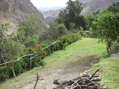 Colca Canyon — 11 July 2007