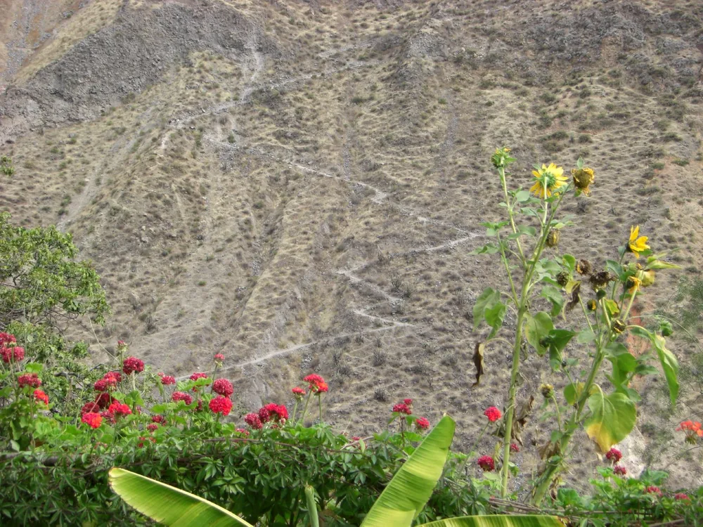 Colca Canyon — 11 July 2007