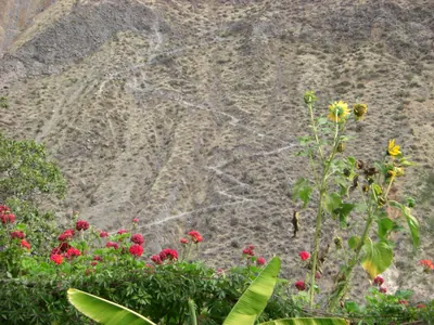 Colca Canyon — 11 July 2007