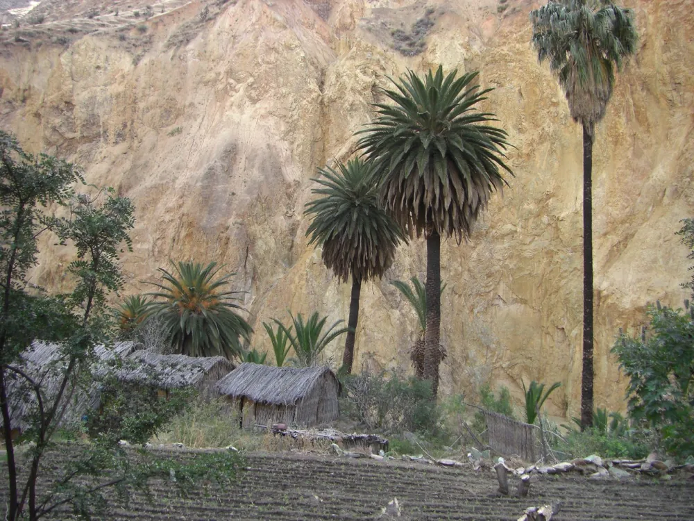 Colca Canyon — 12 July 2007