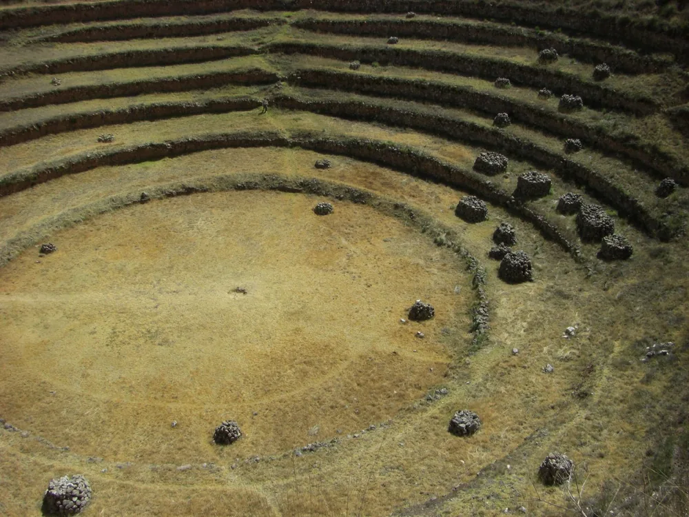 Moray and Maras — 3 June 2007