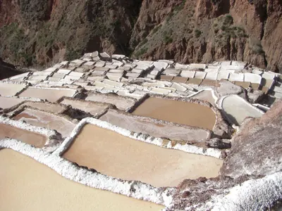Moray and Maras — 3 June 2007