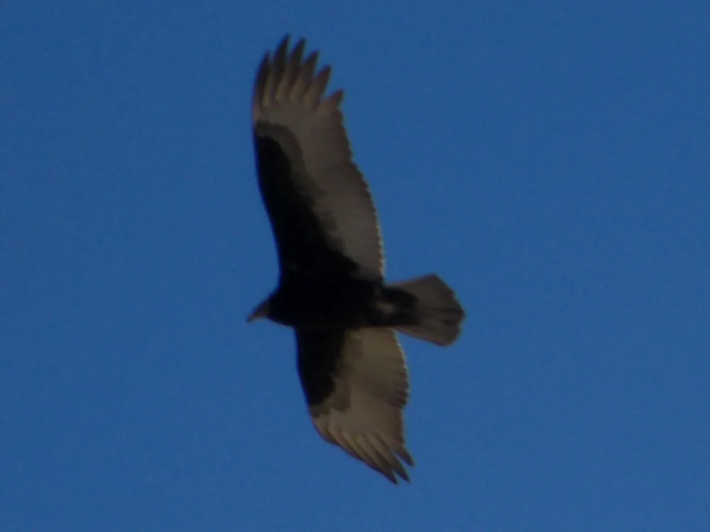 Isla del Sol — 8 June 2007