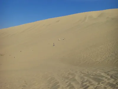 Nasca — 16 July 2007