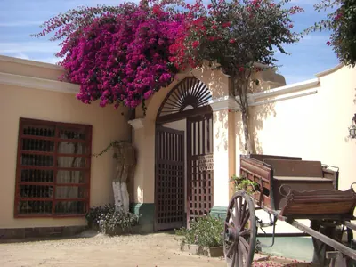Huacachina — 17 July 2007