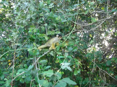 Rurrenabaque — 13 June 2007